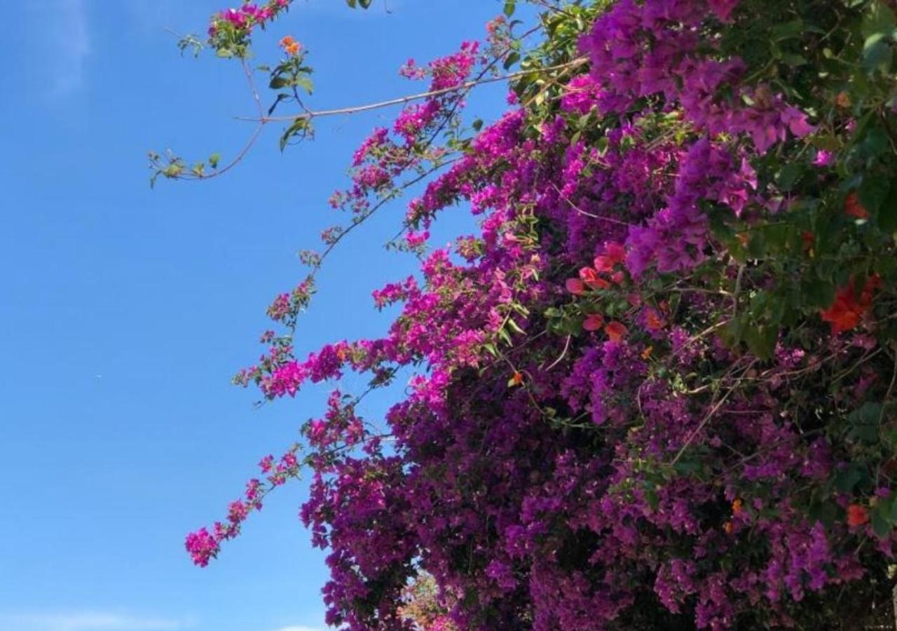 Pousada Halliny do Rosa Praia do Rosa Zewnętrze zdjęcie